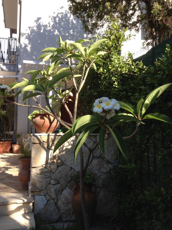 Bed and Breakfast Il Giardino Dei Limoni Aci Castello Esterno foto
